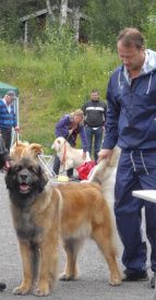 Bailey´s njöt av uppmärksamheten och jag var lika nervös som vanligt...